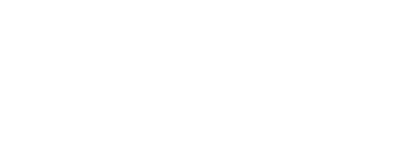 Evosis Software