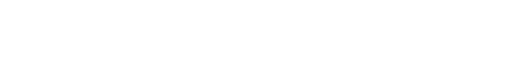 Revenue System